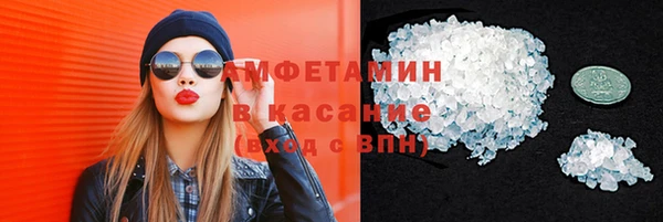 шишки Корсаков