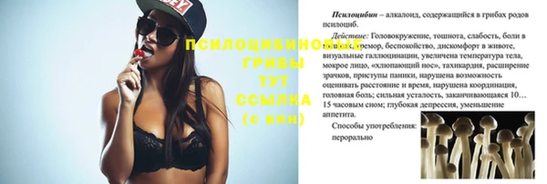 Альфа ПВП Ладушкин