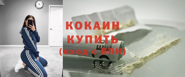 mdpv Краснослободск