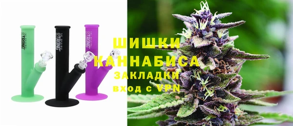 mdpv Краснослободск