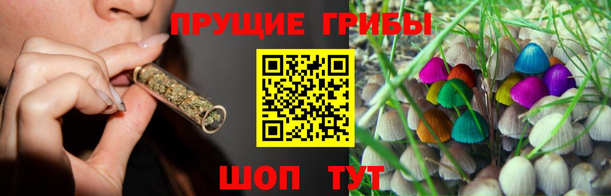 Галлюциногенные грибы Psilocybine cubensis Мелеуз